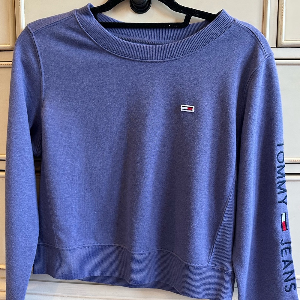 Item: Purple Tommy Hilfiger long sleeve top, Brand: Tommy Hilfiger, Size: Small